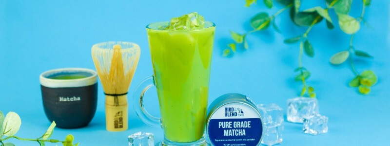 Iced Vanilla Matcha Latte Recipe | Bird &amp; Blend Tea Co.