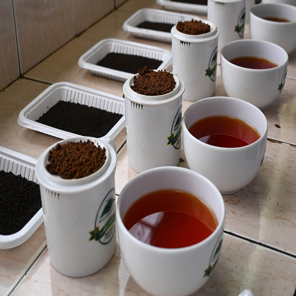 Ground processed tea leaves and tea