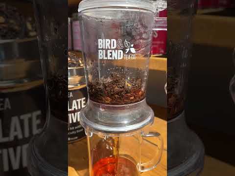 chocolate digestives tea sweet treat video