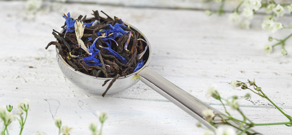 7 Top Tips For Recycling Your Used Tea Leaves Bird & Blend Tea Co.