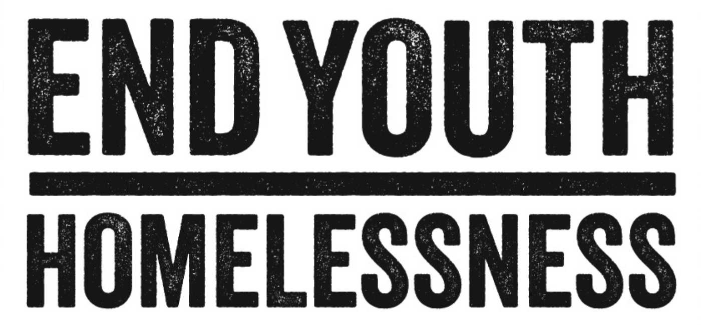 end youth homelessness logo
