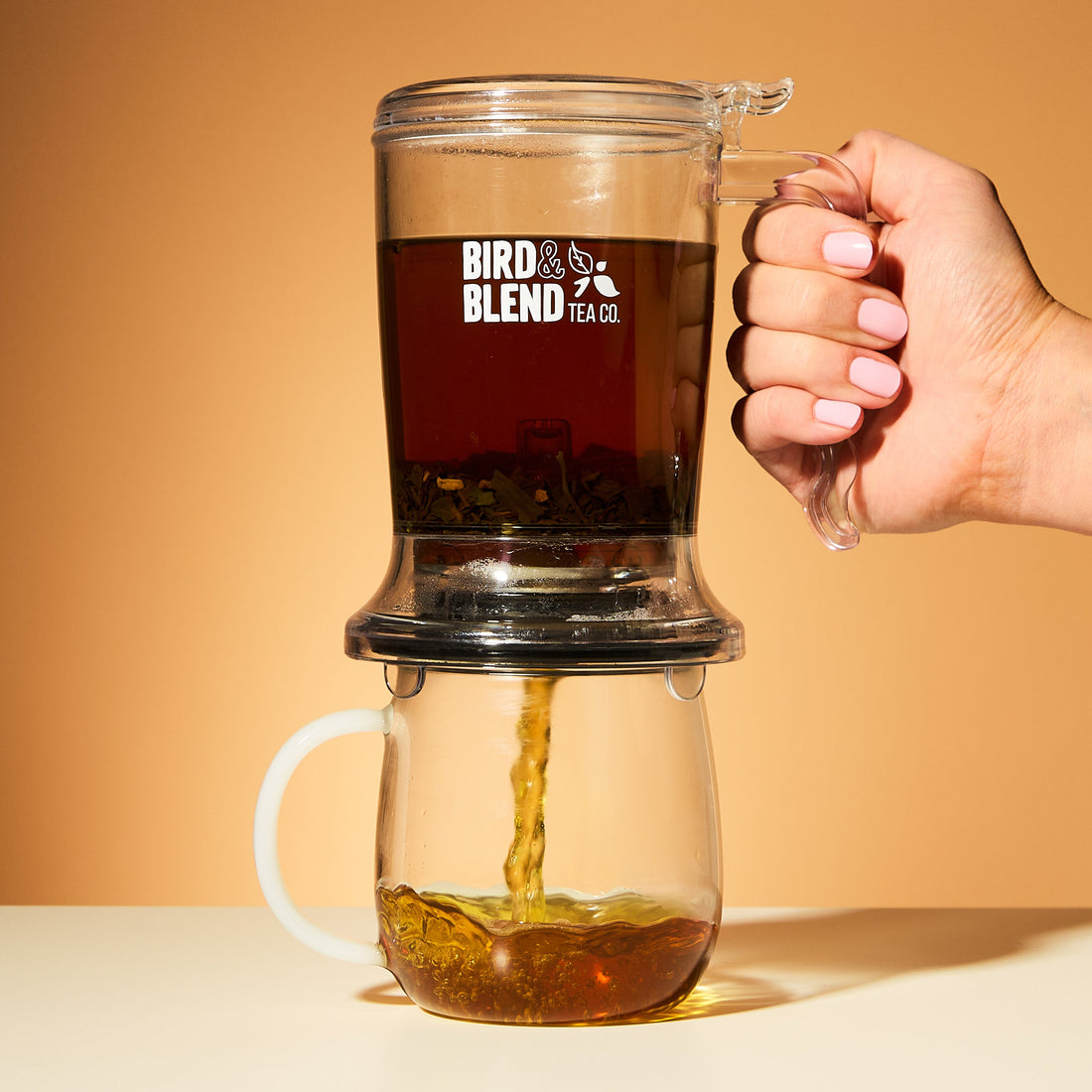 Brewdini Gravity Steeper