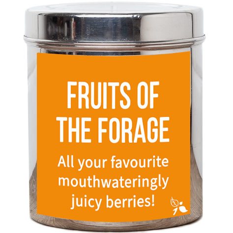 Fruits of the Forage Tea | Bird & Blend Tea Co.