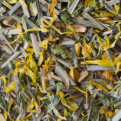morning kick loose leaf yerba mate flatlay