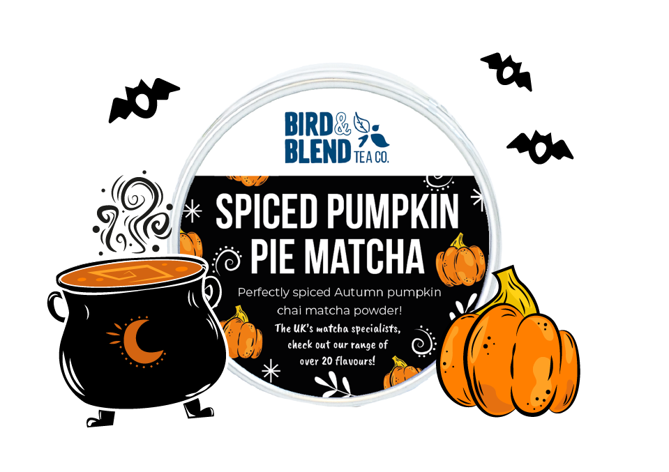 spiced pumpkin pie matcha ingredients