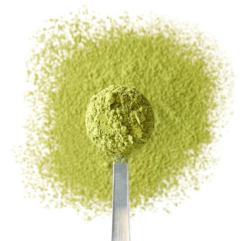 spiced pumpkin pie matcha tea spoon green