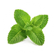 spearmint taste like roundel
