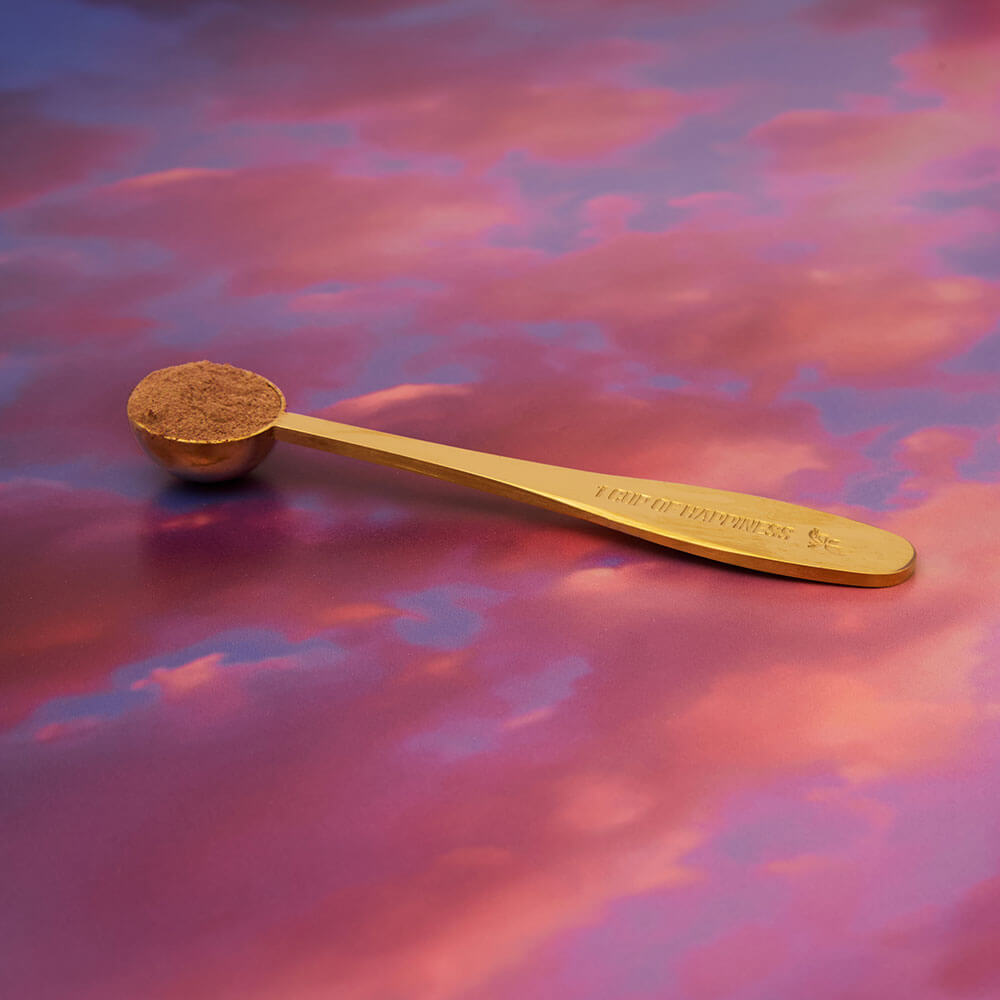 Wicked perfectly pink Glinda golden spoon