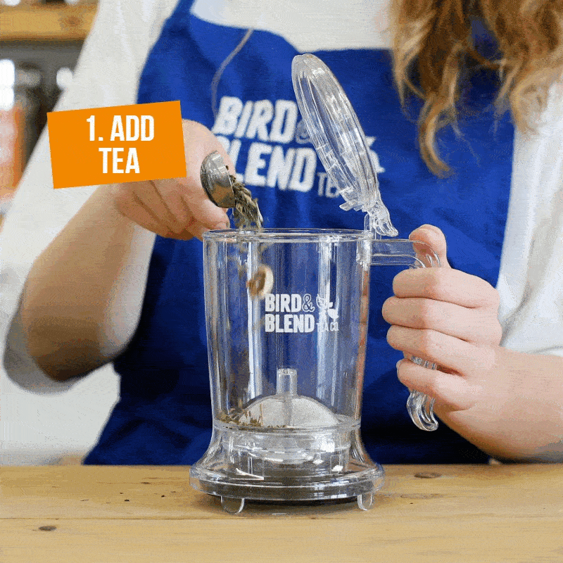 Simple loose leaf tea infuser brewdini