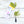 Load image into Gallery viewer, Ice Cream Matcha Chocolate
