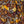 Load image into Gallery viewer, Moondrop Dreams Sleep Tea
