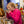 Load image into Gallery viewer, sensory tea experience
